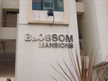 Blossom Mansions #1200742